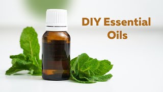 DIY Essential Oils Learn How to Make Your Own Essential Oils [upl. by Tisdale]