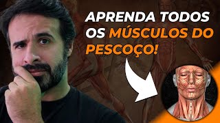 APRENDA TODOS OS MÚSCULOS DO PESCOÇO DE UMA VEZ POR TODAS [upl. by Sedgewake29]