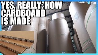 How Cardboard is Made  Factory Tour [upl. by Kirit946]