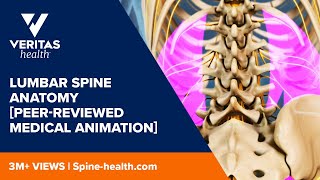 Lumbar spine MRI scan protocols positioning and planning [upl. by Nelad]