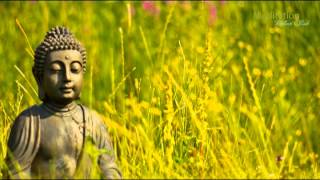 Zen Entspannungsmusik Wellness amp Regeneration Yoga Musik Tiefenentspannung amp Meditation [upl. by Hedvah]