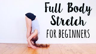 Beginner Stretches for Flexibility [upl. by Chrystal659]