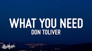 Don Toliver  What You Need Lyrics [upl. by Ario753]