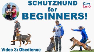 Schutzhund For Beginners Obedience [upl. by Anai]