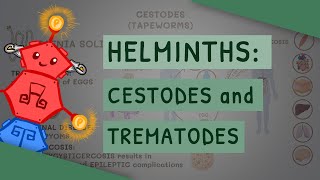 Helminths Cestodes and Trematodes transmission clinical importance and treatment [upl. by Jamie]