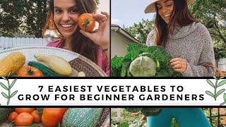 7 Easiest To Grow Vegetables For Beginners  Gardening 101 [upl. by Atel]