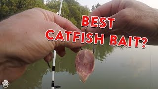 How To Catch Catfish From The Bank  Catfishing Bait Rigs amp Tips [upl. by Daniele]