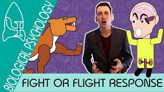 Fight or Flight  Biological Psychology AQA ALevel [upl. by Nepsa]