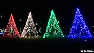 Christmas Light Show 2013  Carol of the Bells Nashville TN [upl. by Mcmullan]