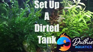 Dirted Aquarium For The Beginner [upl. by Retswerb723]