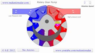 Rotary Gear Pump [upl. by Jarnagin]