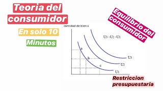 TEORIA del CONSUMIDOR  CURVA de INDIFERENCIA y EQUILIBRIO del CONSUMIDOR [upl. by Fayola415]