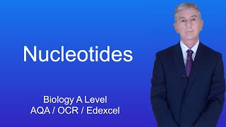 A Level Biology Revision quotNucleotidesquot [upl. by Hiram]