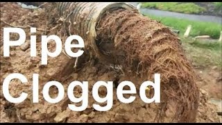 How to Unclog Underground Drainage Pipe  Step by Step Guide [upl. by Wini]