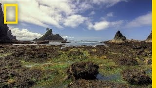 Olympic National Park  America’s National Parks [upl. by Madel182]