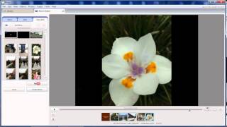 How to make a Video from Picasa [upl. by Jerrilee]