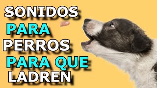 Sonido de Perro 🐶 🐶 Los mejores LADRIDOS DE PERROS 🐶 [upl. by Mitzie]