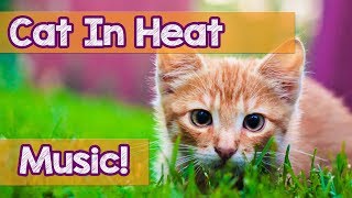 How to Calm My Cat in Heat This is the Best Music to Help Relax Your Cat During Heat Soothing [upl. by Helbonna]