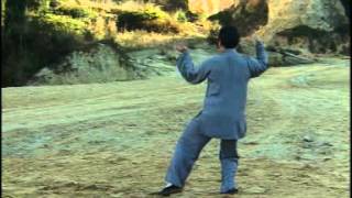 56 Chen Style Taiji Quan  Demo and Explanation Guide [upl. by Norre]