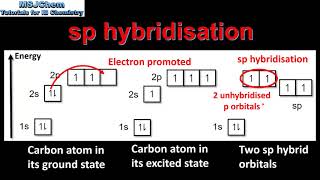 S2216 Hybridisation HL [upl. by Lejeune]