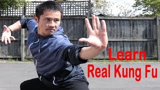 Shaolin Kung Fu Wushu Basic Training For Beginners  Session 1 [upl. by Tavi]