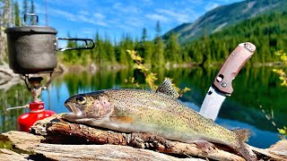 48H SOLO Backpacking amp MOUNTAIN TROUT Fishing Catch Cook Camp [upl. by Nailil576]