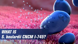 What is Saccharomyces boulardii CNCM I745 [upl. by Ayaj]