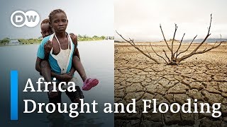 African countries hit by severe flooding and drought  DW News [upl. by Altis]