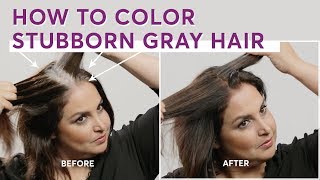 How to Color Stubborn Gray Hair [upl. by Gillman]