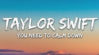 Taylor Swift  You Need To Calm Down Lyrics [upl. by Serrell514]