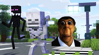 OBUNGA FACE CHALLENGE  Minecraft Animation [upl. by Ariana]