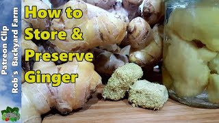 7 Ways to Store GINGER or Turmeric [upl. by Ahsirpac]