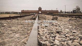 The harrowing story of AuschwitzBirkenau  WARNING contains camp footage [upl. by Gahan]