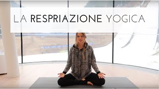 Yoga tutorial  La respirazione Yogica  Ujjayi Pranayama ♥ [upl. by Fast239]