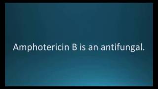 How to pronounce amphotericin B Fungizone Memorizing Pharmacology Flashcard [upl. by Jorge]