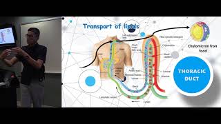 APOE APOE4 Cholesterol LDL amp Insulin Resistance  links to heart disease amp dementia [upl. by Terence]