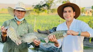 Engorda de Mojarra Tilapia  Sistema abierto  Oxigenación de manera natural  Granjas acuícolas [upl. by Conchita]