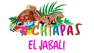 Chiapas  El Jabali [upl. by Saeger]