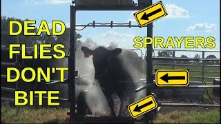 Best Fly Spray For Cows [upl. by Kermit]