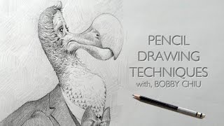 Pencil Drawing Techniques [upl. by Gabbert]