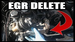 BMW EGR DELETE  HOW TO REMOVE BMW N47 N57 EGR VALVE [upl. by Warms]