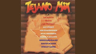 Tejano Megamix Long Version [upl. by Aisatal]