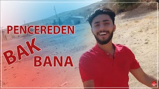 Baran Bari  Pencereden Bak Bana 2020 [upl. by Yecaw498]