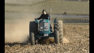 FORDSON SUPER MAJOR AT WORK  SOUND [upl. by Ennahteb388]