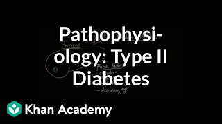 Pathophysiology  Type II diabetes  Endocrine system diseases  NCLEXRN  Khan Academy [upl. by Yrogerg]