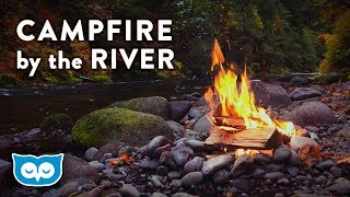 Campfire by the River  Relaxing Fire and Nature Sounds [upl. by Enelra]