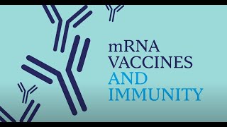 Mayo Clinic Insights How mRNA Vaccines Work [upl. by Aicnelev]