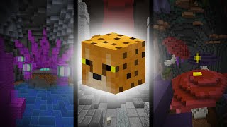 FULL Cheetah Talisman Race Guide Hypixel Skyblock [upl. by Willi740]