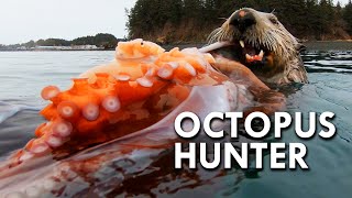 Sea Otter The Octopus Hunter [upl. by Nehr]