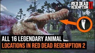 ALL 16 Legendary Animal Locations in Red Dead Redemption 2 [upl. by Aehc]